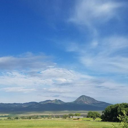 Grizzly Roadhouse Bed And Breakfast Cortez Esterno foto
