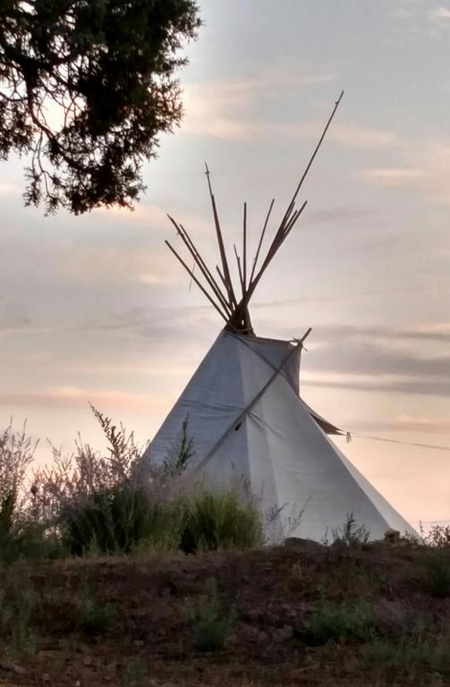 Grizzly Roadhouse Bed And Breakfast Cortez Esterno foto